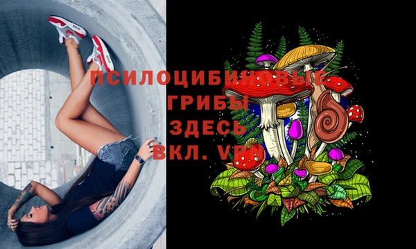 мяу мяу мука Карталы