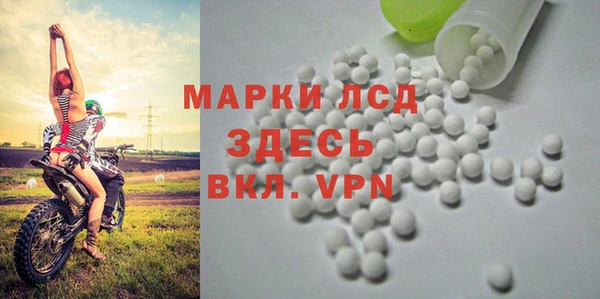 мяу мяу мука Карталы