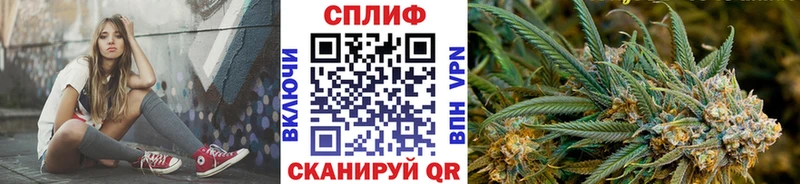 Бошки Шишки семена Муравленко